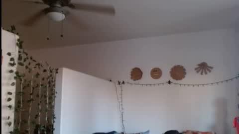 Snapshot of mycock4u247 chatting on February 2025 12:38:02 AM LA MARIPOSA DE MARICOPA online show from February 2025 12:38:02 AM