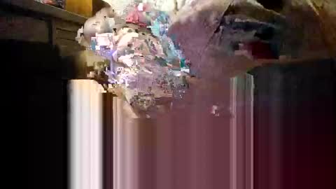 Mmmm Feels Great online show from December 2025 11:19:01 AM