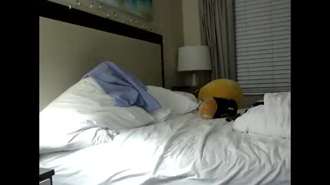 Snapshot of mysticlynn420 chatting on January 2025 10:28:02 AM MysticLynn online show from January 2025 10:28:02 AM