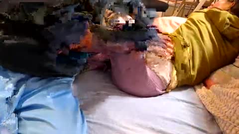 n55emo online show from February 2026 06:47:02 PM