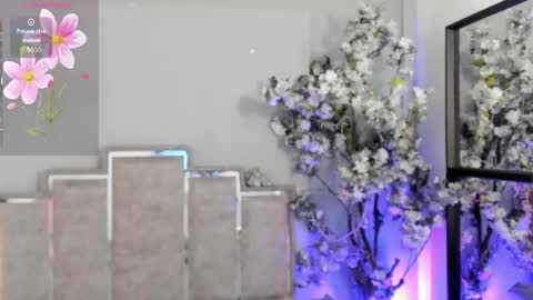Snapshot of nahomycarterr chatting on May 2026 11:37:01 AM nahomycarterr online show from May 2026 11:37:01 AM