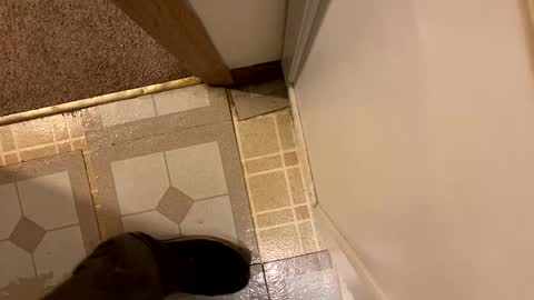 Snapshot of nairda2senoniuq chatting on December 2024 12:08:01 AM nairda2senoniuq online show from December 2024 12:08:01 AM