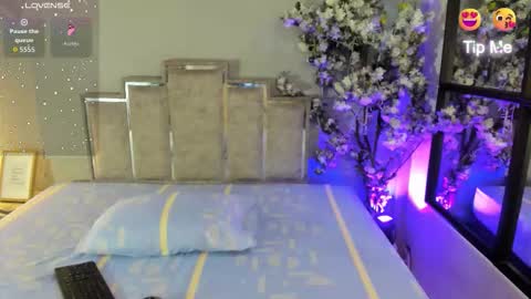 nalapalmer online show from February 2026 07:53:02 PM