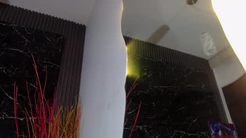 NALAROY online show from January 2025 12:40:01 PM