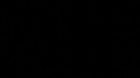 namemewhatyouwant758242 online show from January 2026 09:51:02 PM