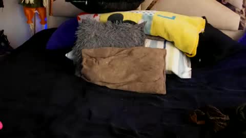 nami_smith online show from July 2026 03:15:01 AM