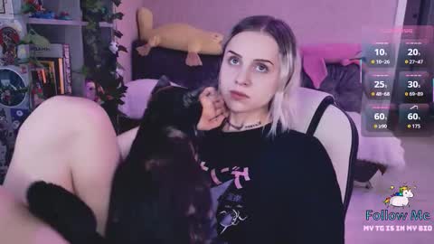 Monday-Friday 12-4 AM and 6-9 AM New York time online show from March 2026 08:26:01 PM