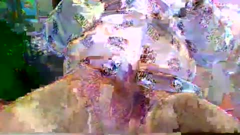 nano527 online show from February 2026 07:25:01 AM