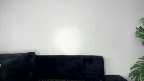 Tessy online show from August 2026 11:13:01 AM