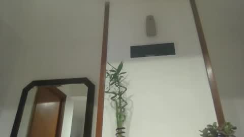 nata1974 online show from March 2026 08:48:01 PM