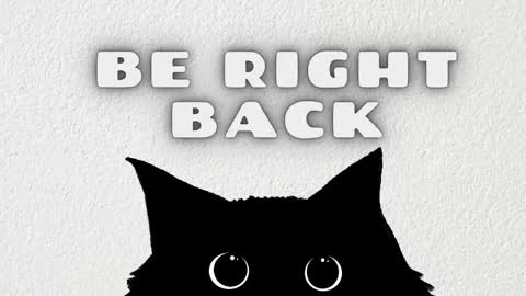 Nataly online show from February 2026 11:24:01 AM