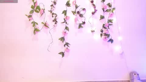 natasha rosst online show from May 2026 08:19:01 AM