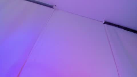     online show from January 2026 01:38:01 PM