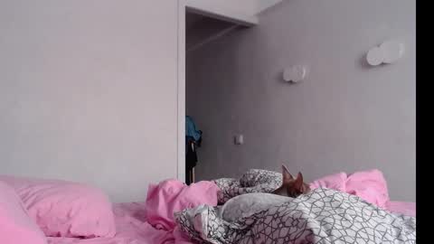 Chris Carrie online show from February 2025 04:05:01 AM