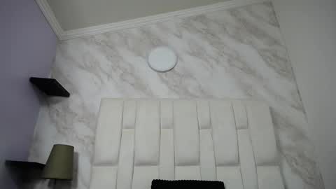 Kitten online show from February 2025 10:35:01 AM