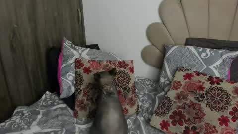 Nei turn green online show from November 2025 01:16:02 AM