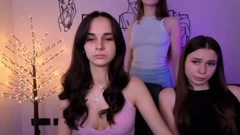 Meow online show from July 2026 09:44:02 AM