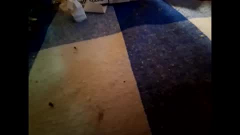 boo online show from November 2025 10:23:02 PM