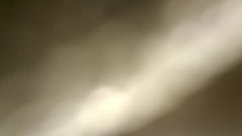 Snapshot of nembo1974 chatting on July 2026 08:12:02 PM boo online show from July 2026 08:12:02 PM