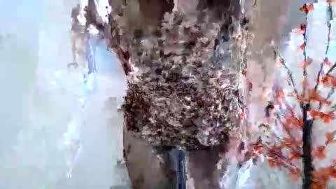 Snapshot of nerii11i chatting on January 2026 07:46:01 AM Crystal New online show from January 2026 07:46:01 AM