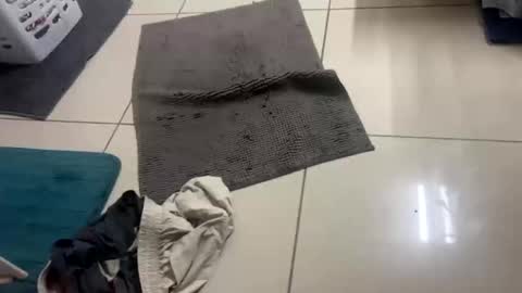 Snapshot of nesquick741960 chatting on December 2025 12:02:02 PM nesquick741960 online show from December 2025 12:02:02 PM