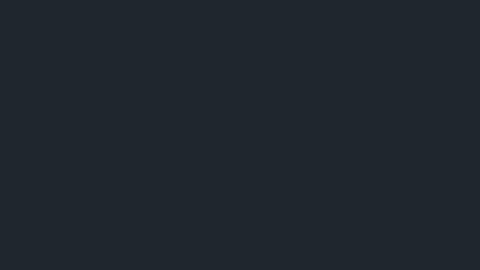 Rin online show from August 2026 11:13:01 AM
