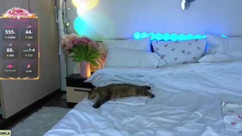 never give up  online show from March 2026 12:08:01 PM