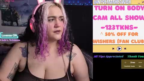Snapshot of nevermakeawish chatting on July 2026 09:38:01 AM Wishs Playground online show from July 2026 09:38:01 AM