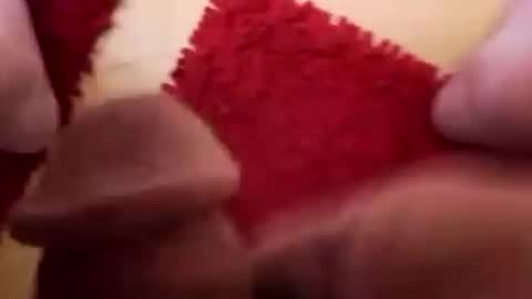 BookWriter online show from December 2024 06:09:02 AM