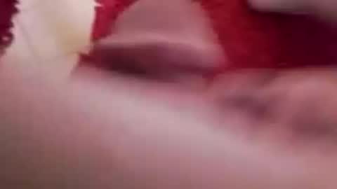 BookWriter online show from December 2024 07:49:02 AM