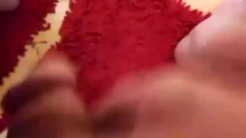 BookWriter online show from December 2024 05:55:01 AM