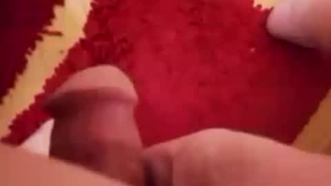 BookWriter online show from January 2025 07:16:02 AM