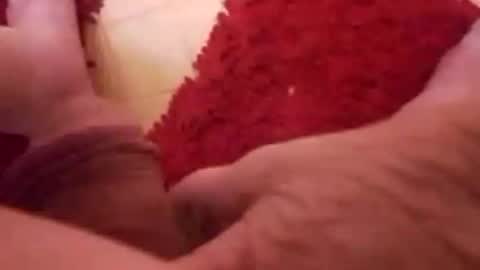 BookWriter online show from January 2025 06:52:02 AM