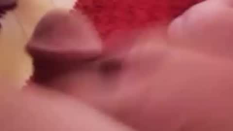 BookWriter online show from January 2025 07:06:02 AM