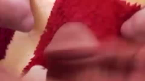 BookWriter online show from January 2025 06:56:02 AM