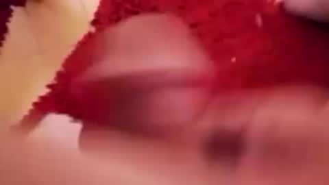 BookWriter online show from January 2025 06:56:01 AM