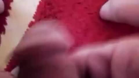 BookWriter online show from January 2025 06:53:02 AM