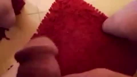 BookWriter online show from February 2025 07:15:02 AM