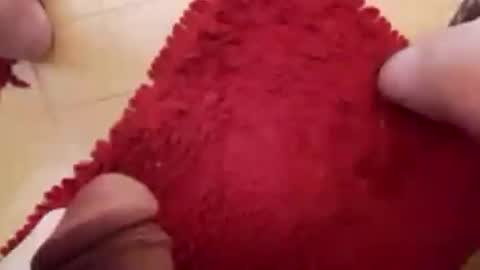 BookWriter online show from February 2025 06:49:02 AM