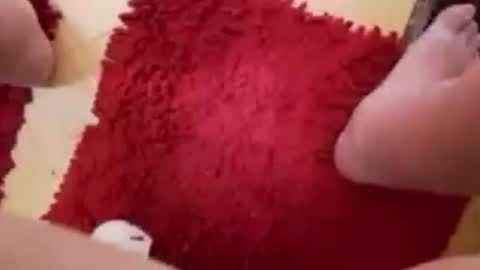 BookWriter online show from March 2025 06:58:01 AM