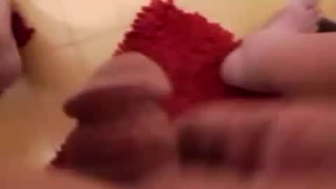 BookWriter online show from March 2025 07:01:02 AM