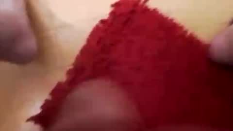 BookWriter online show from March 2025 06:05:01 AM