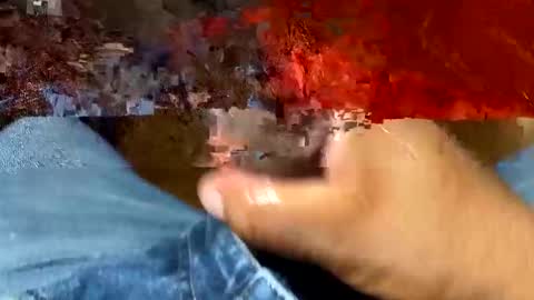 newjanki online show from March 2026 01:21:01 AM