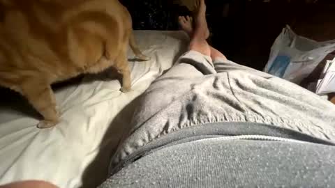 ngianop online show from April 2026 09:25:02 AM