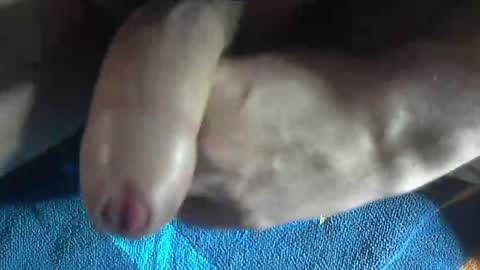 ni983 online show from December 2024 03:08:02 PM