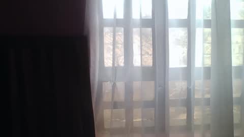 Lilly online show from November 2025 10:14:01 AM