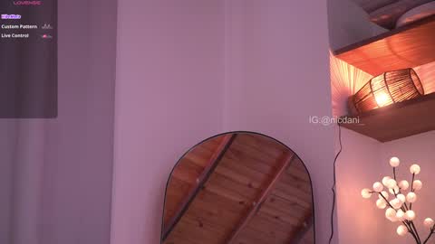 Snapshot of nicdani_1 chatting on January 2025 09:25:02 PM Dani 3 online show from January 2025 09:25:02 PM