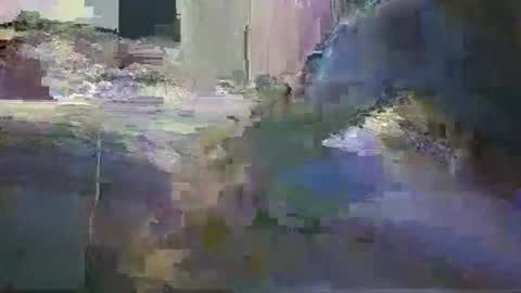 niceausbloke online show from March 2026 10:04:02 AM