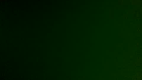 Amber online show from January 2025 11:17:02 AM