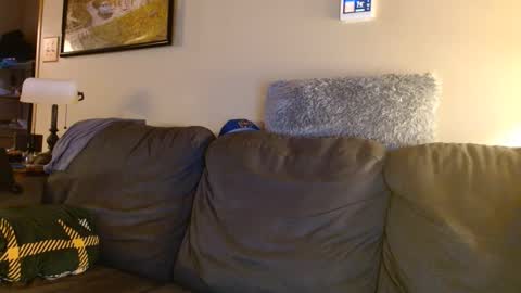 Nick online show from September 2025 11:59:01 PM